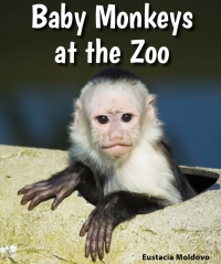 Imagen de portada: Baby Monkeys at the Zoo 9780766070738