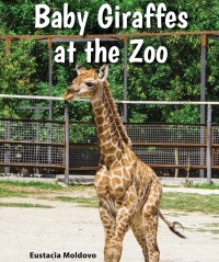 Imagen de portada: Baby Giraffes at the Zoo 9780766070813