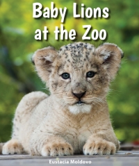 Cover image: Baby Lions at the Zoo 9780766070851