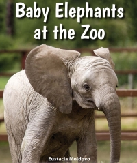 Cover image: Baby Elephants at the Zoo 9780766070899
