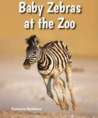Cover image: Baby Zebras at the Zoo 9780766070936