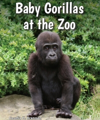 صورة الغلاف: Baby Gorillas at the Zoo