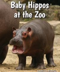 表紙画像: Baby Hippos at the Zoo