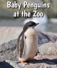 Imagen de portada: Baby Penguins at the Zoo