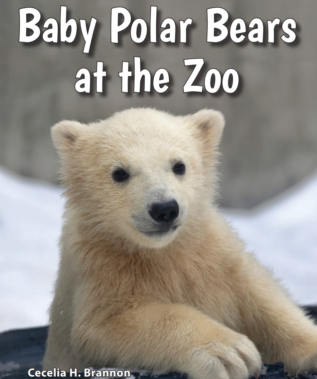 Baby Polar Bears at the Zoo