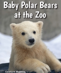 صورة الغلاف: Baby Polar Bears at the Zoo
