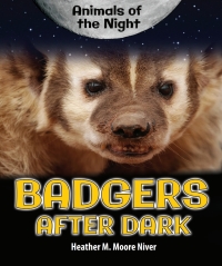 表紙画像: Badgers After Dark