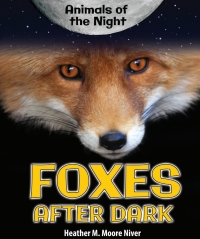 表紙画像: Foxes After Dark