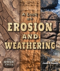 表紙画像: A Look at Erosion and Weathering