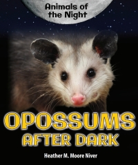表紙画像: Opossums After Dark