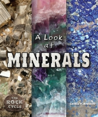 صورة الغلاف: A Look at Minerals