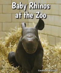صورة الغلاف: Baby Rhinos at the Zoo