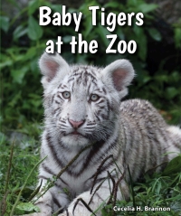 Cover image: Baby Tigers at the Zoo