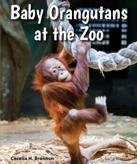 Omslagafbeelding: Baby Orangutans at the Zoo