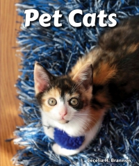 Imagen de portada: Pet Cats