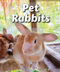 Cover image: Pet Rabbits