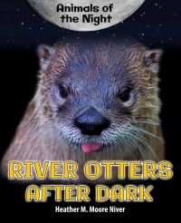 表紙画像: River Otters After Dark