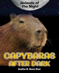 Imagen de portada: Capybaras After Dark