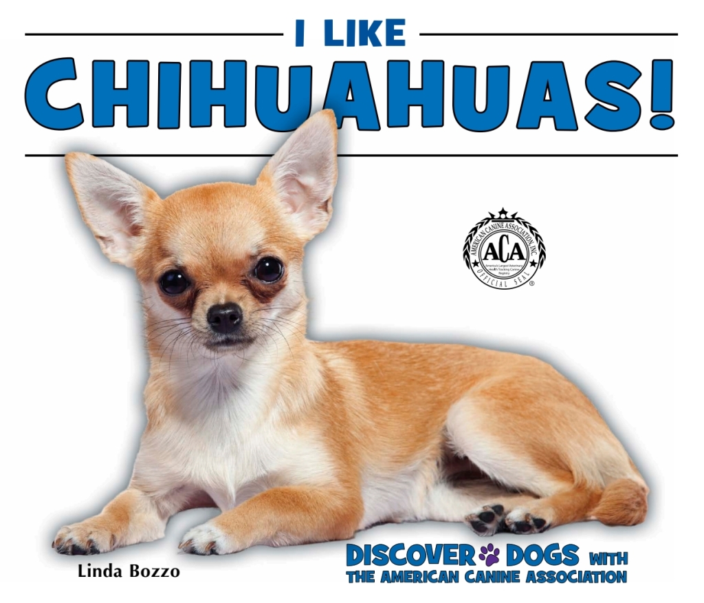 I Like Chihuahuas!