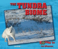 Titelbild: The Tundra Biome