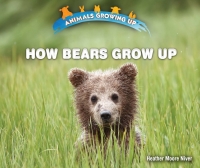 Cover image: How Bears Grow Up