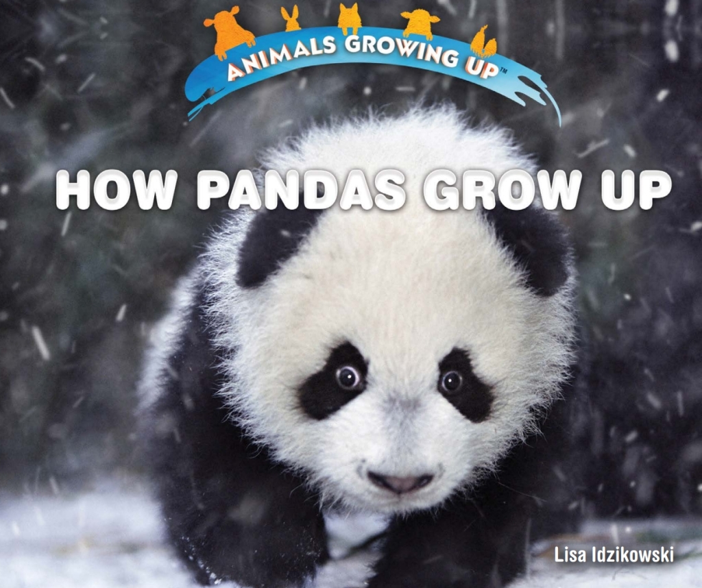 How Pandas Grow Up