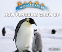 Cover image: How Penguins Grow Up