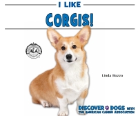 Cover image: I Like Corgis!
