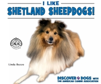 Cover image: I Like Shetland Sheepdogs!
