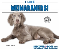 Cover image: I Like Weimaraners!