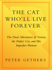 Cover image: The Cat Who'll Live Forever 9780767906371