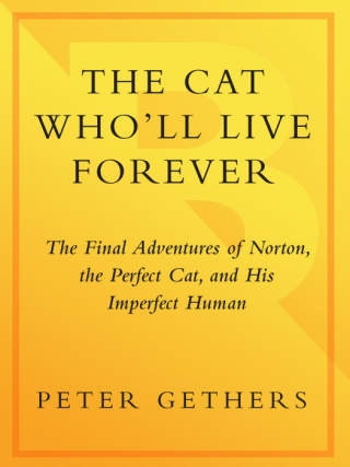 Cover image: The Cat Who'll Live Forever 9780767906371