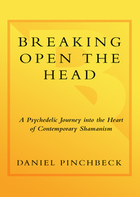 Cover image: Breaking Open the Head 9780767907422
