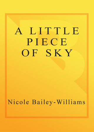 Cover image: A Little Piece of Sky 9780767912167