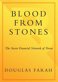 Cover image: Blood From Stones 9780767915625
