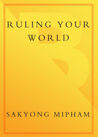 Cover image: Ruling Your World 9780767920650