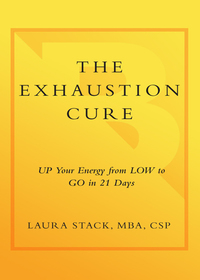 Cover image: The Exhaustion Cure 9780767927512