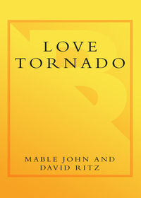 Cover image: Love Tornado 9780767921671
