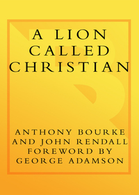 Cover image: A Lion Called Christian 9780767932301