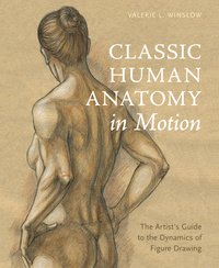 Cover image: Classic Human Anatomy in Motion 9780770434144