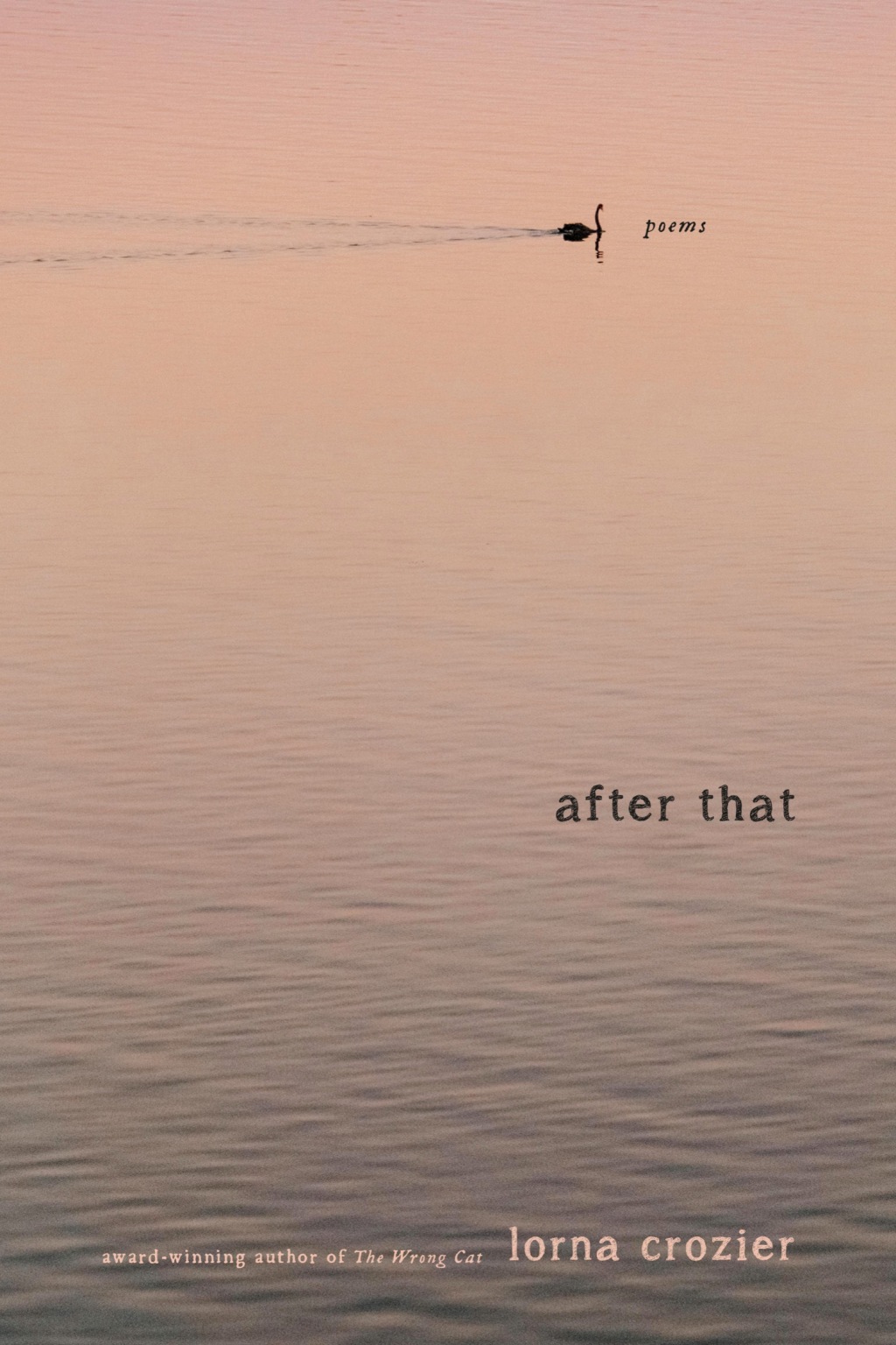 After That Poems