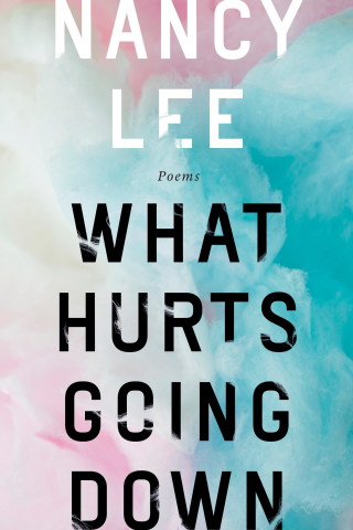 Cover image: What Hurts Going Down 9780771049033