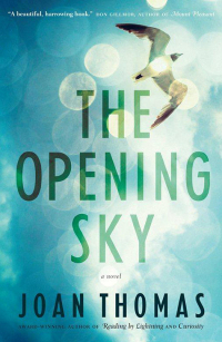 Cover image: The Opening Sky 9780771083921