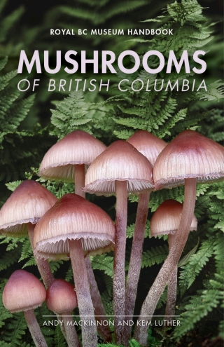 表紙画像: Mushrooms of British Columbia 9780772679550