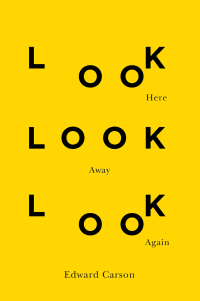 Cover image: Look Here Look Away Look Again 9780773556263