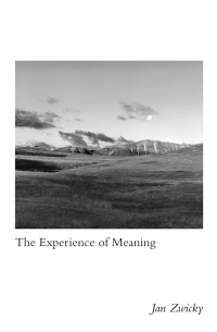 Titelbild: The Experience of Meaning 9780773557437