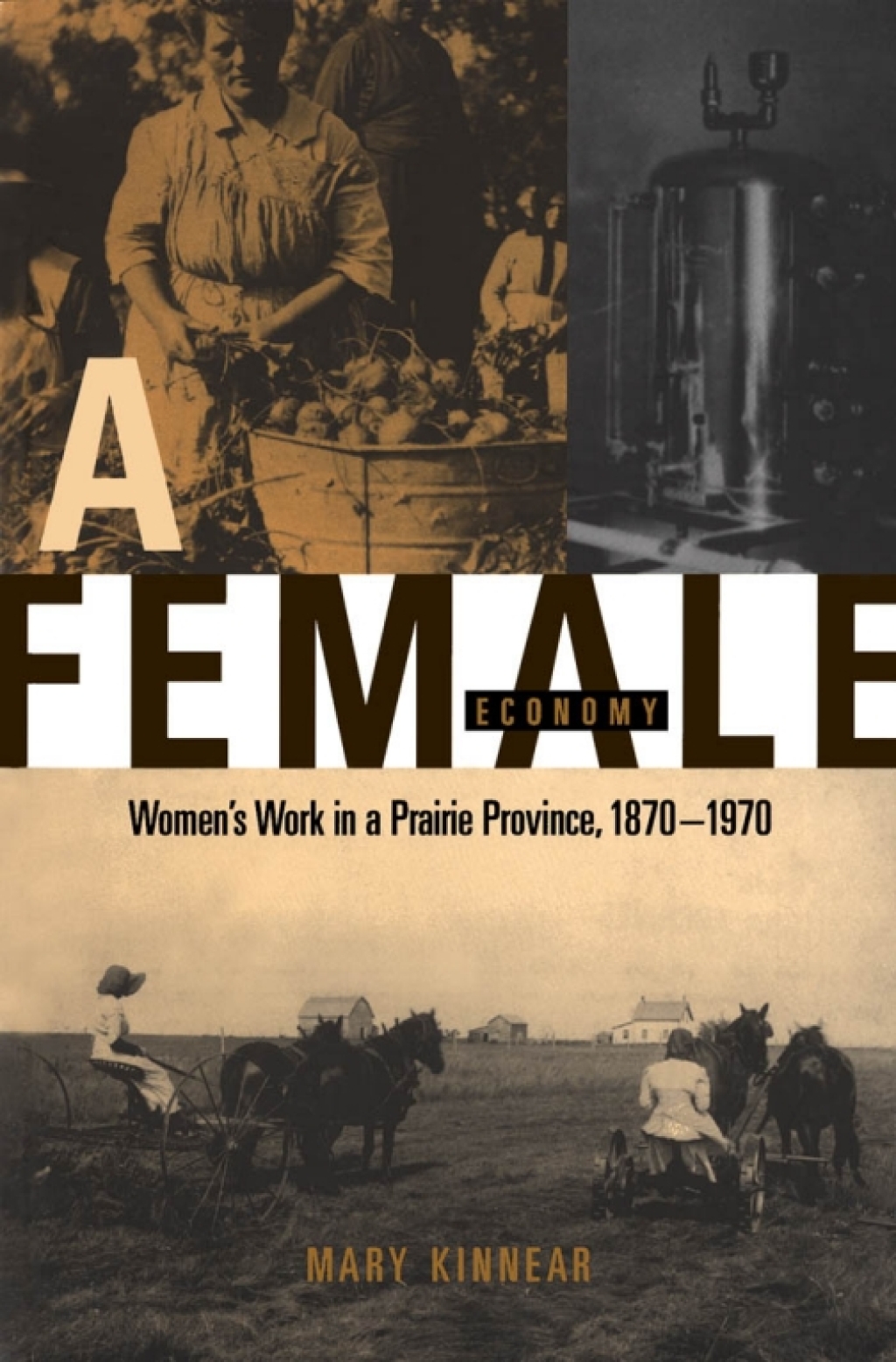 Female Economy Women’s Work in a Prairie Province, 1870-1970
