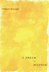 Cover image: A Dream of Sulphur 9780773519084