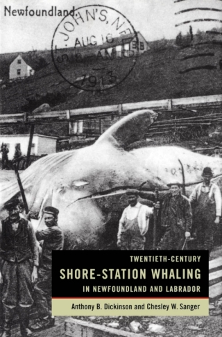 表紙画像: Twentieth-Century Shore-Station Whaling in Newfoundland and Labrador 9780773528819
