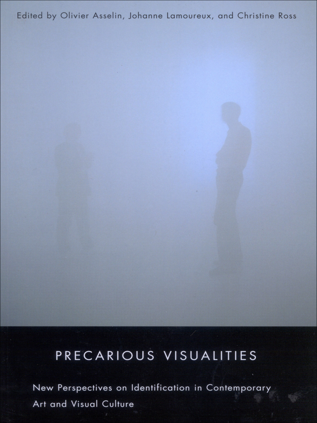 Precarious Visualities New Perspectives on Identification in Contemporary Art and Visual Culture